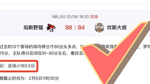 热那亚见证劳塔罗意甲崛起，破28队进球神迹闪耀绿茵场